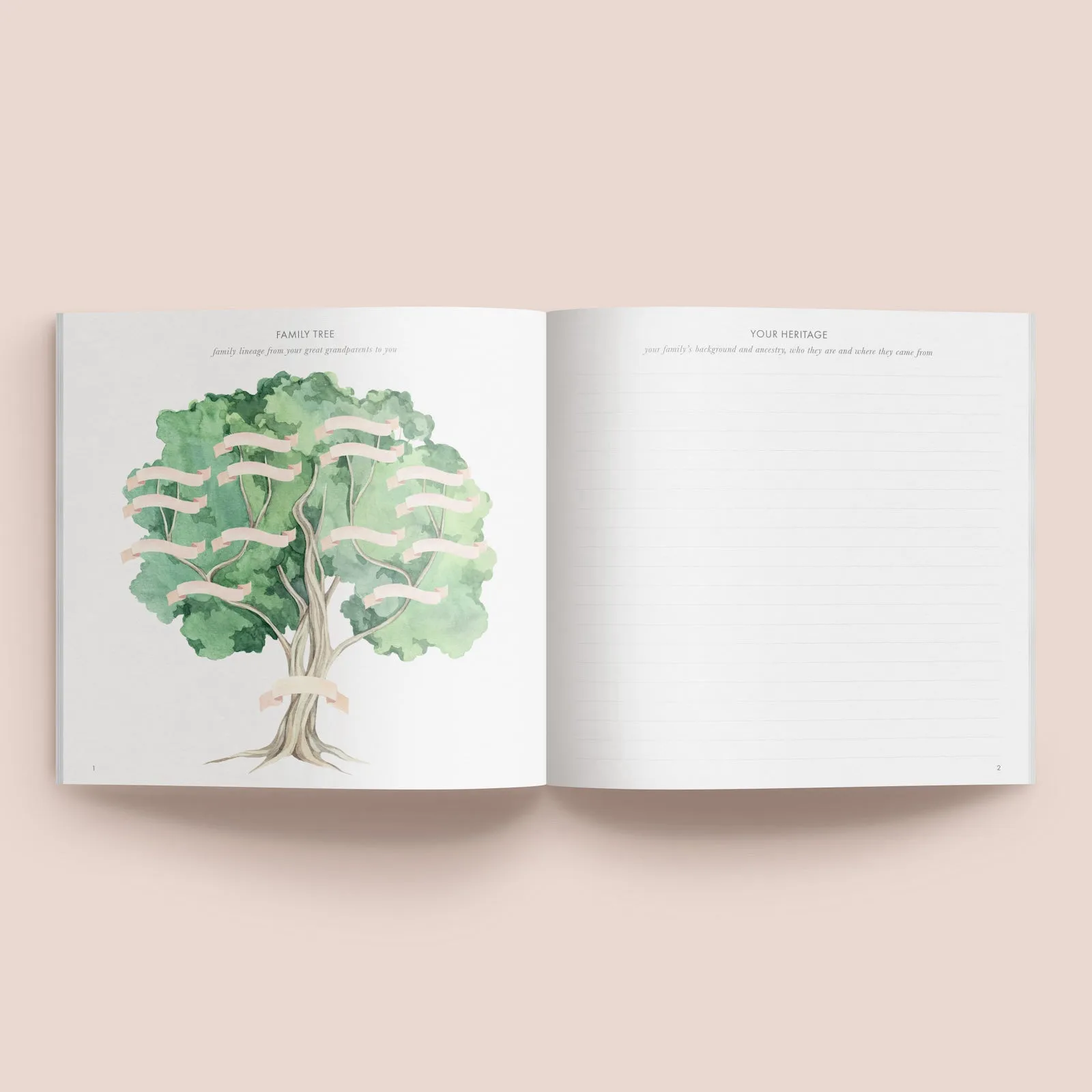 Baby Record Book | Your First Years