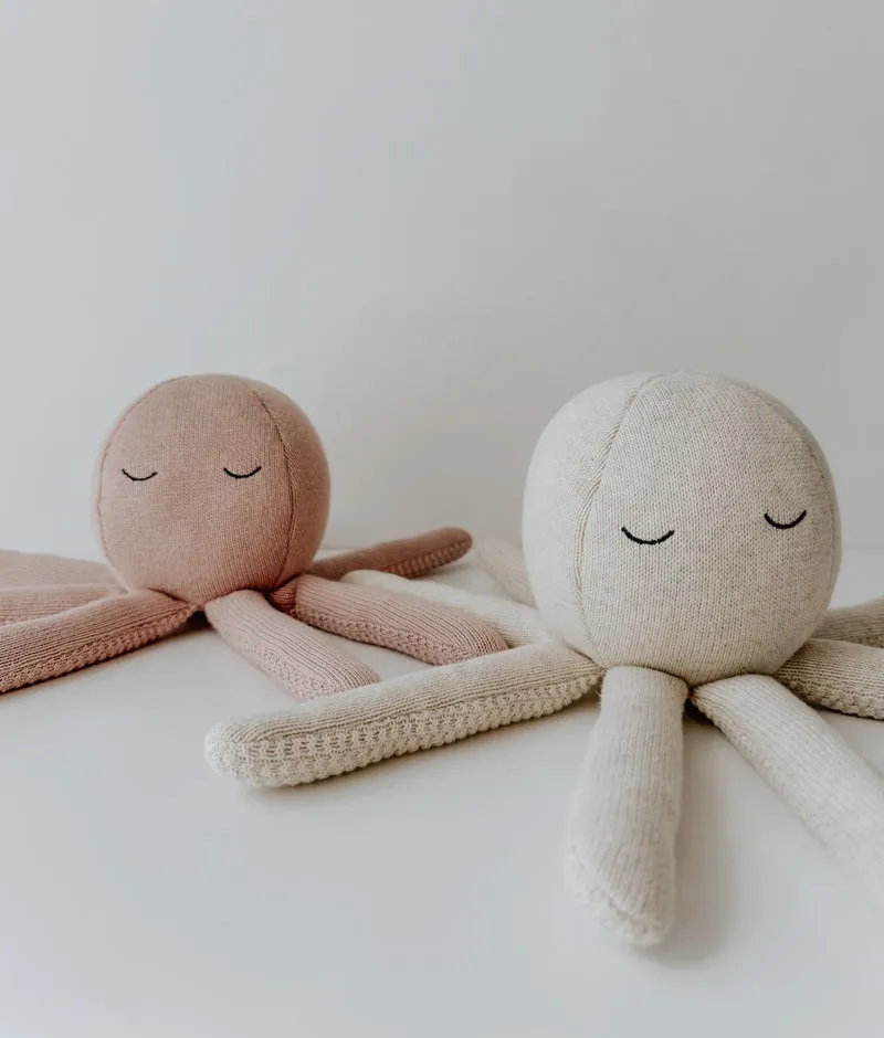 Bengali Teddy | Octopus