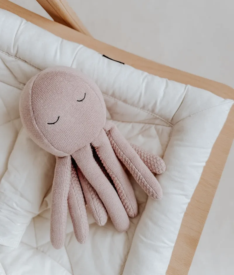 Bengali Teddy | Octopus