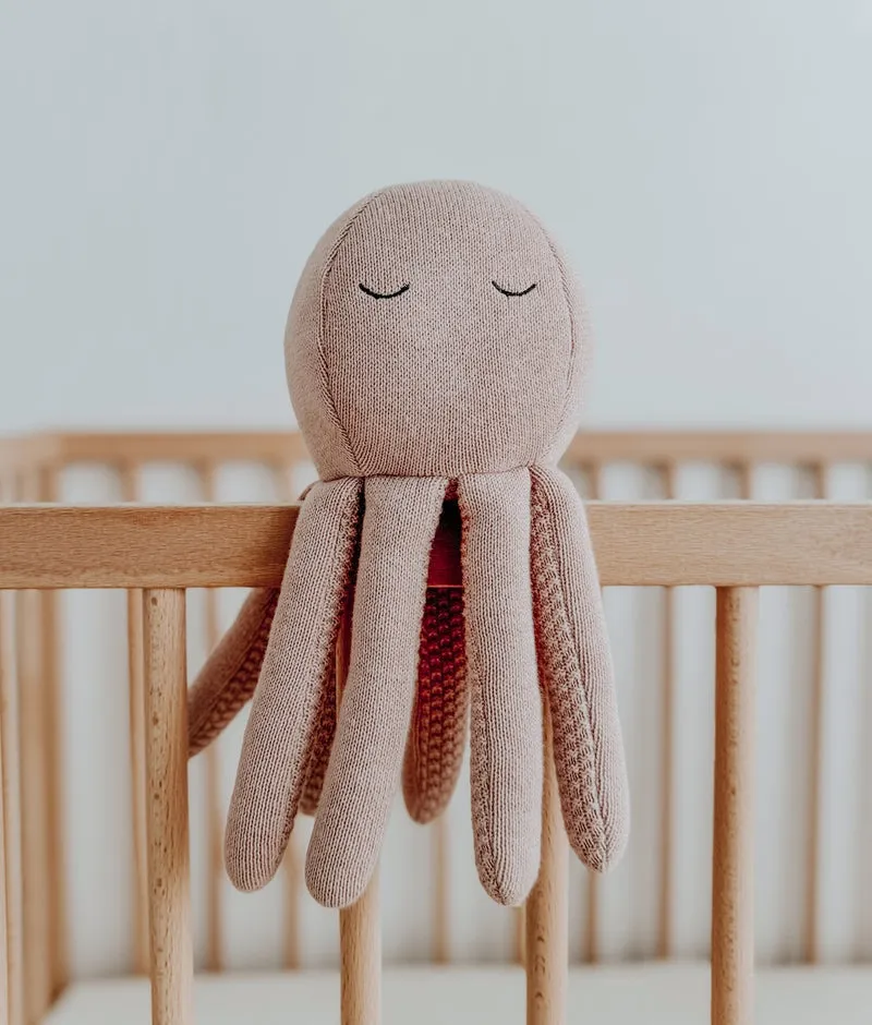Bengali Teddy | Octopus