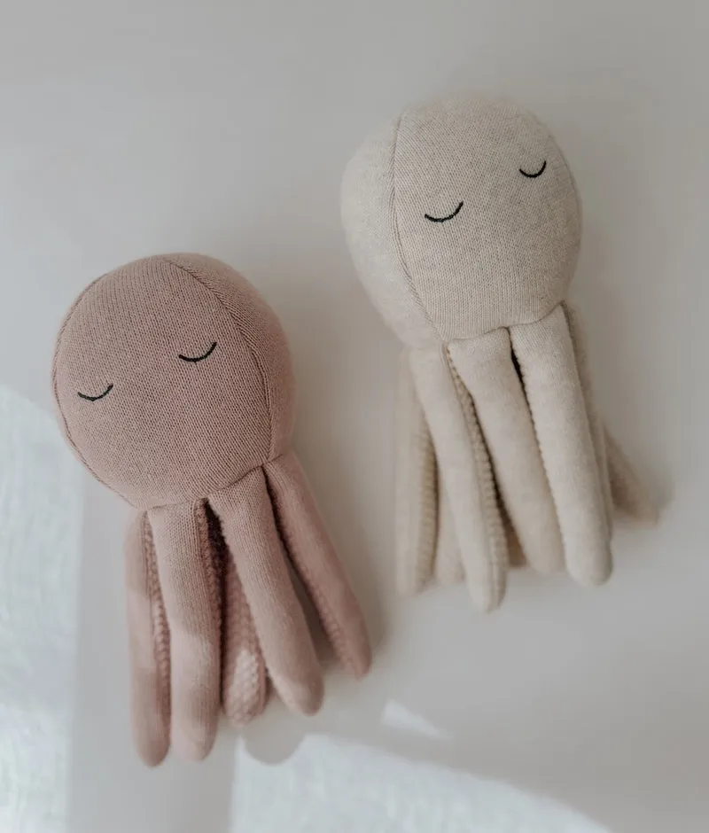 Bengali Teddy | Octopus