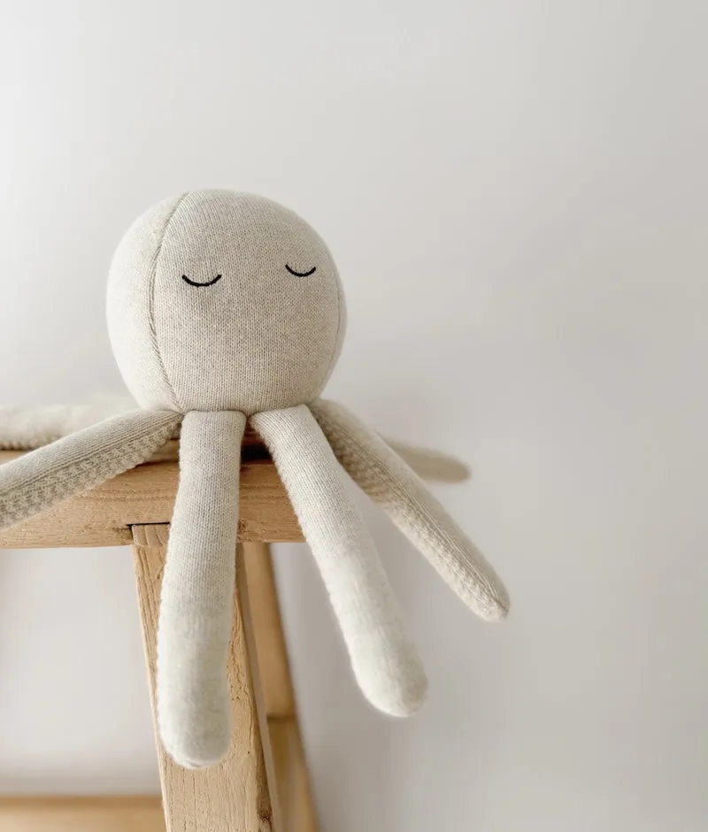 Bengali Teddy | Octopus