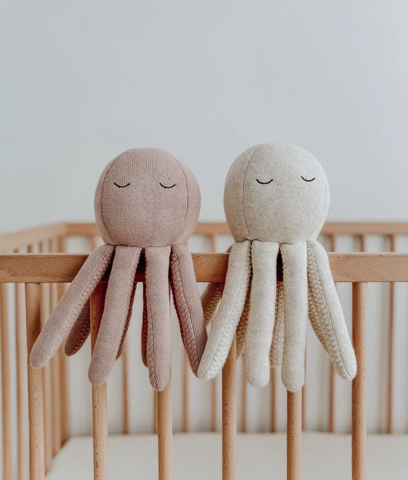 Bengali Teddy | Octopus