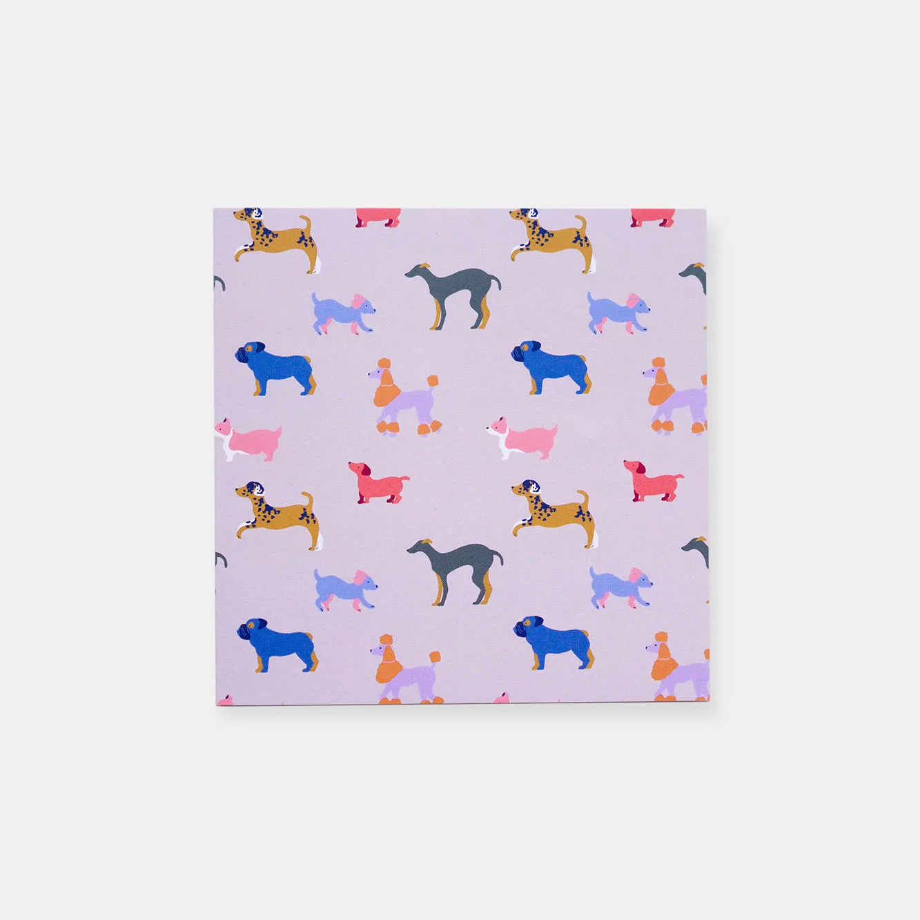 Blank Card – Dog Park