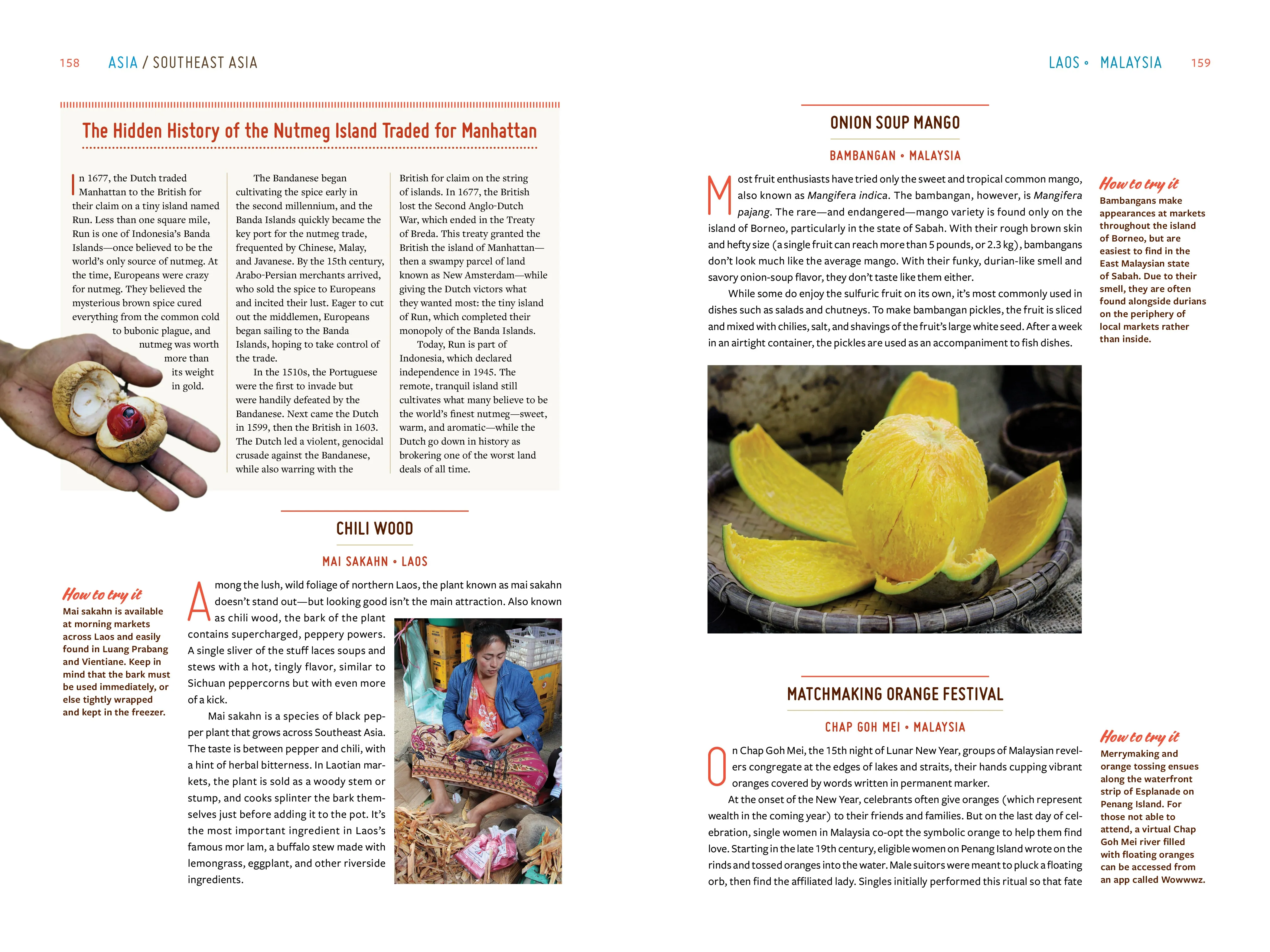 Gastro Obscura - A Food Adventurer's Guide