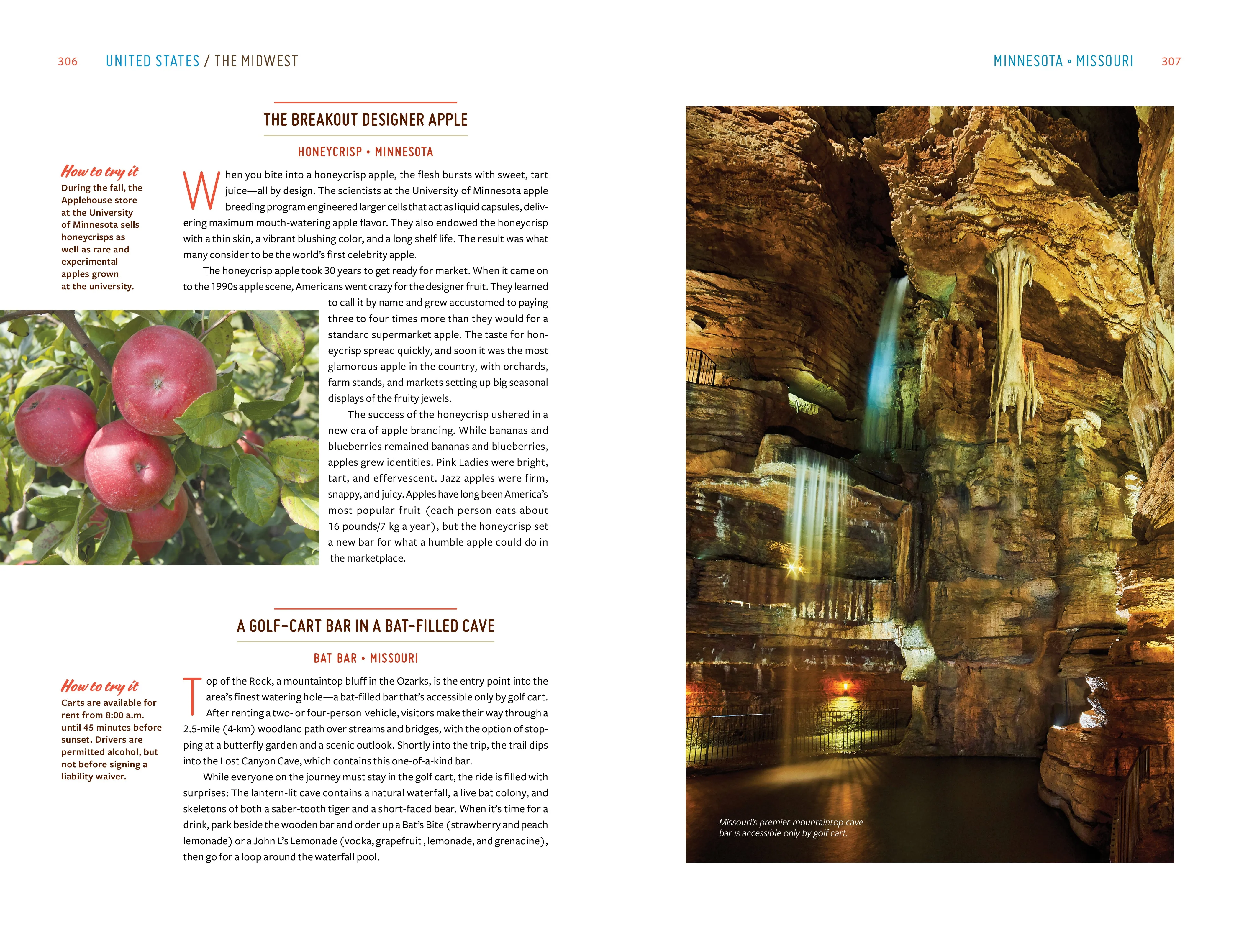 Gastro Obscura - A Food Adventurer's Guide