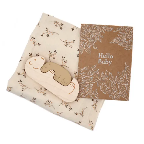 Hello Baby Gift Set