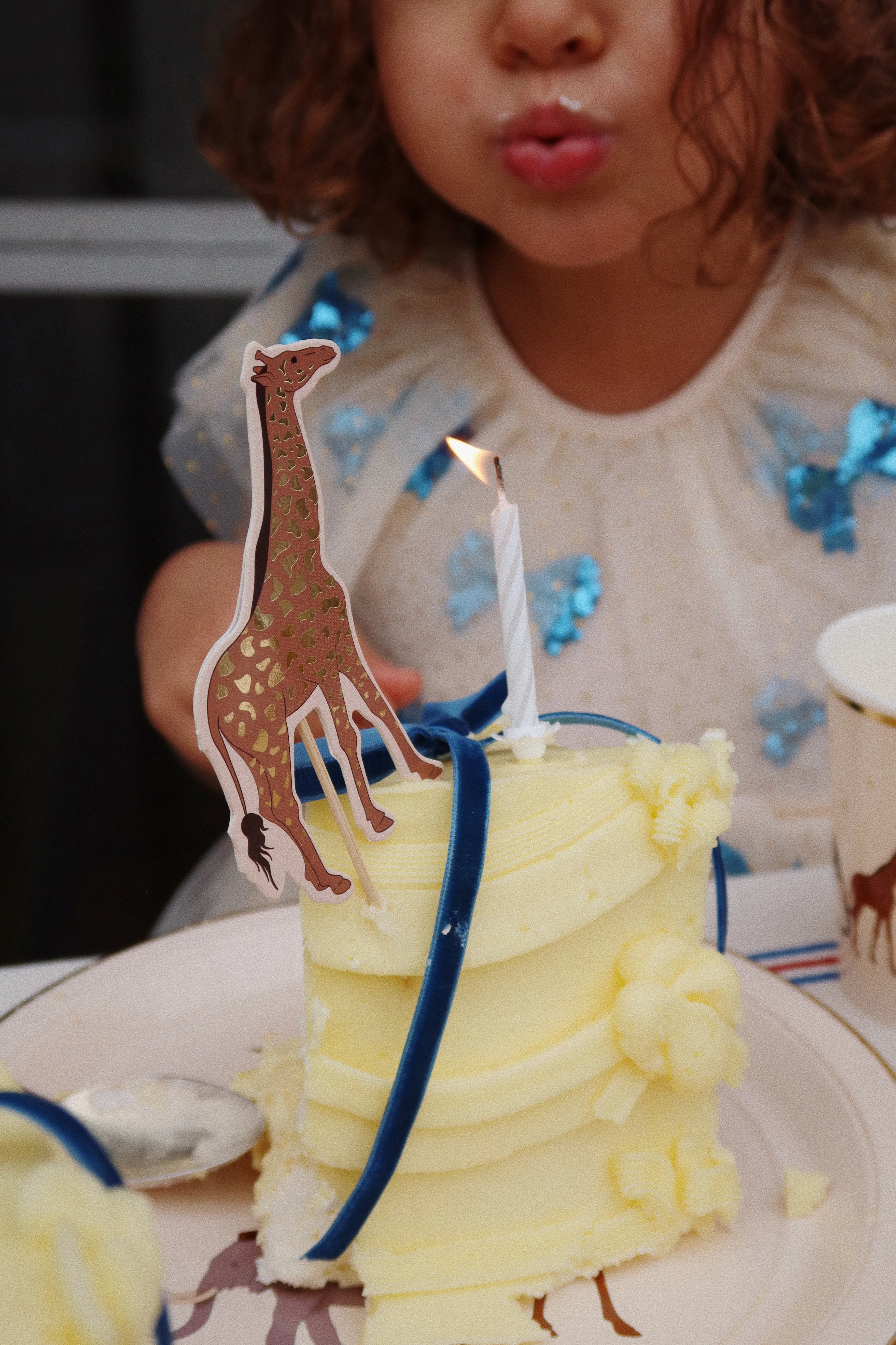 Konges Sløjd Birthday Party Kit | Safari