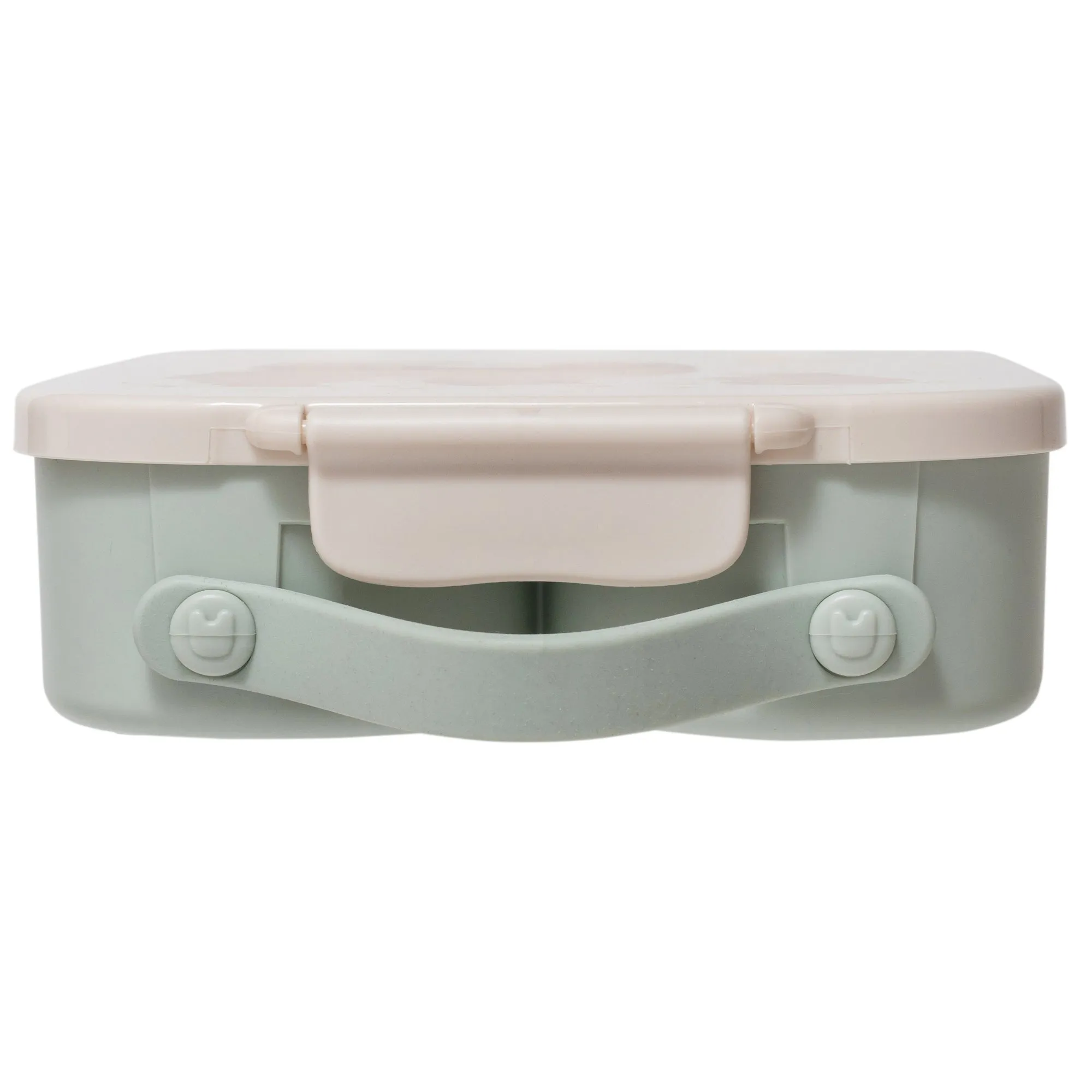 Lunchbox Bento Bear   Stars
