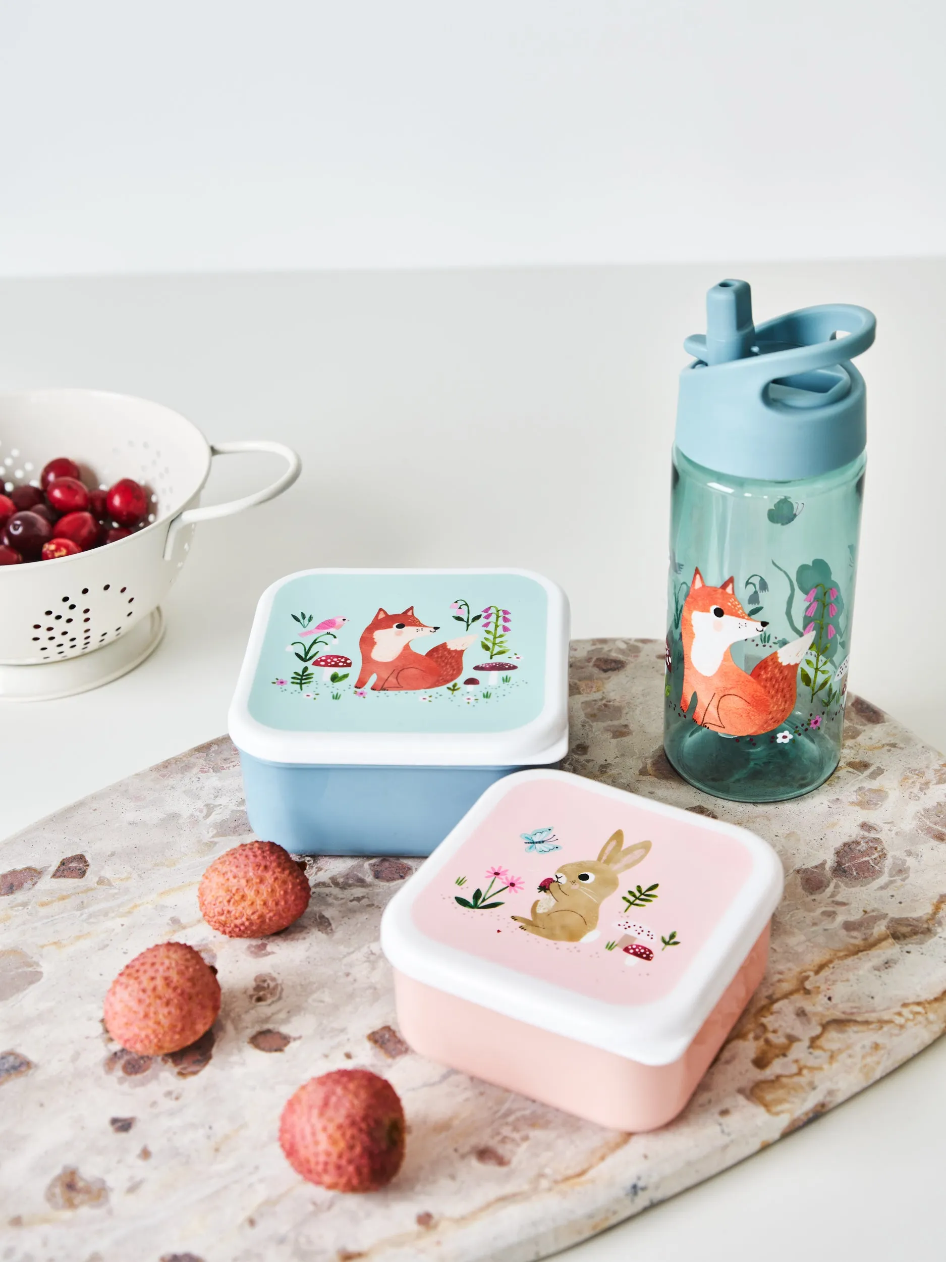 Lunchbox Set Woodland Blue