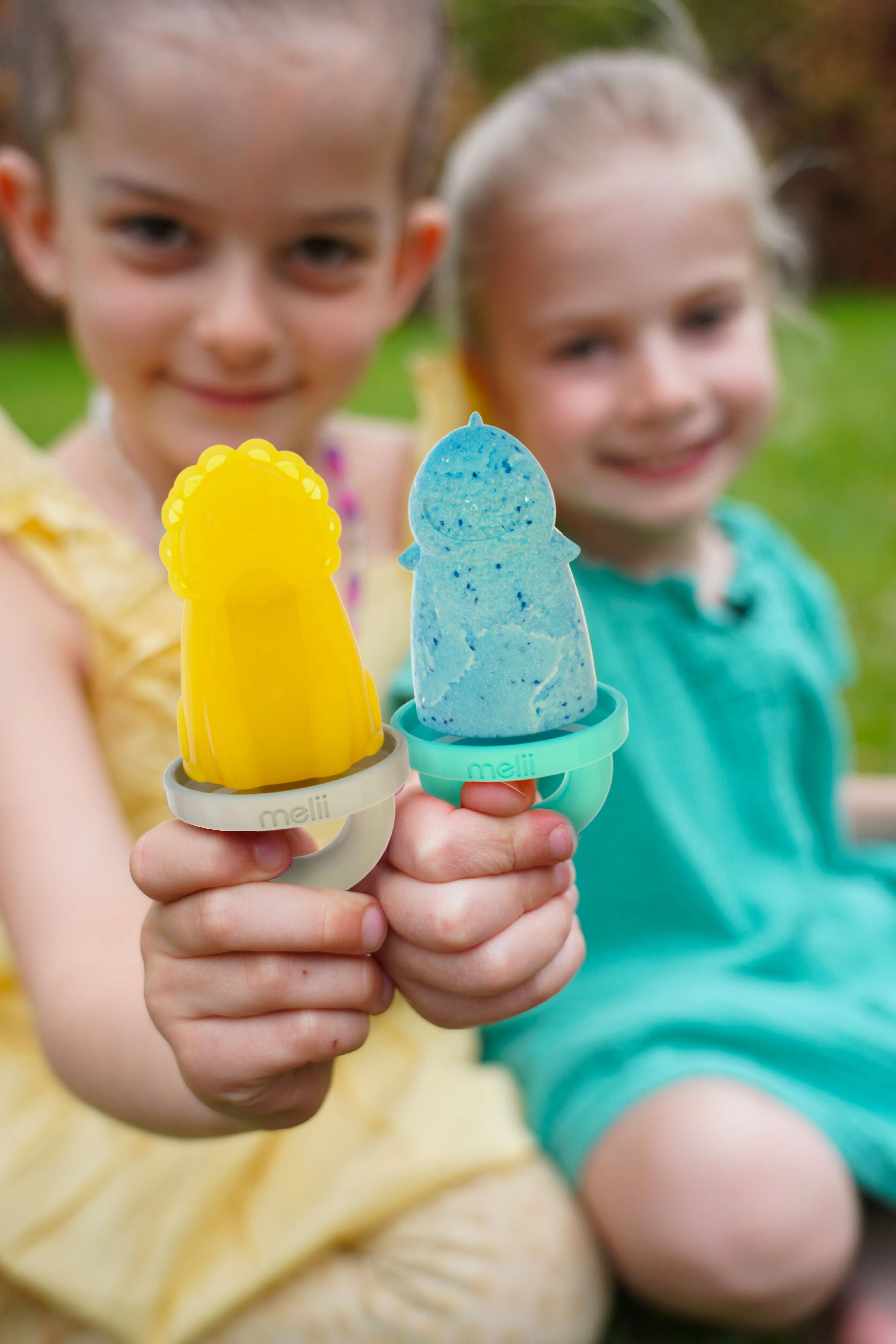 Melii Animal Ice Pops with Tray - 6 Piece