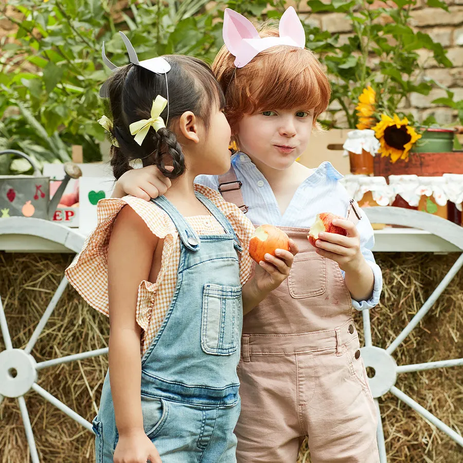 Meri Meri Party Hats | On The Farm Animal Ears 8 Pack