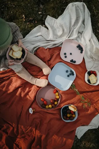 Mushie Dinnerware | Blush | Plate 2 Pack