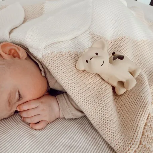 My First Tikiri Teether & Bath Toy | Farm Gift Boxed