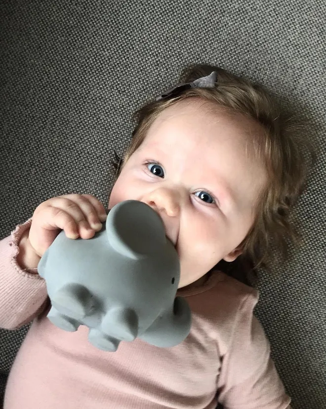 My First Tikiri Teether & Bath Toy | Safari Gift Boxed