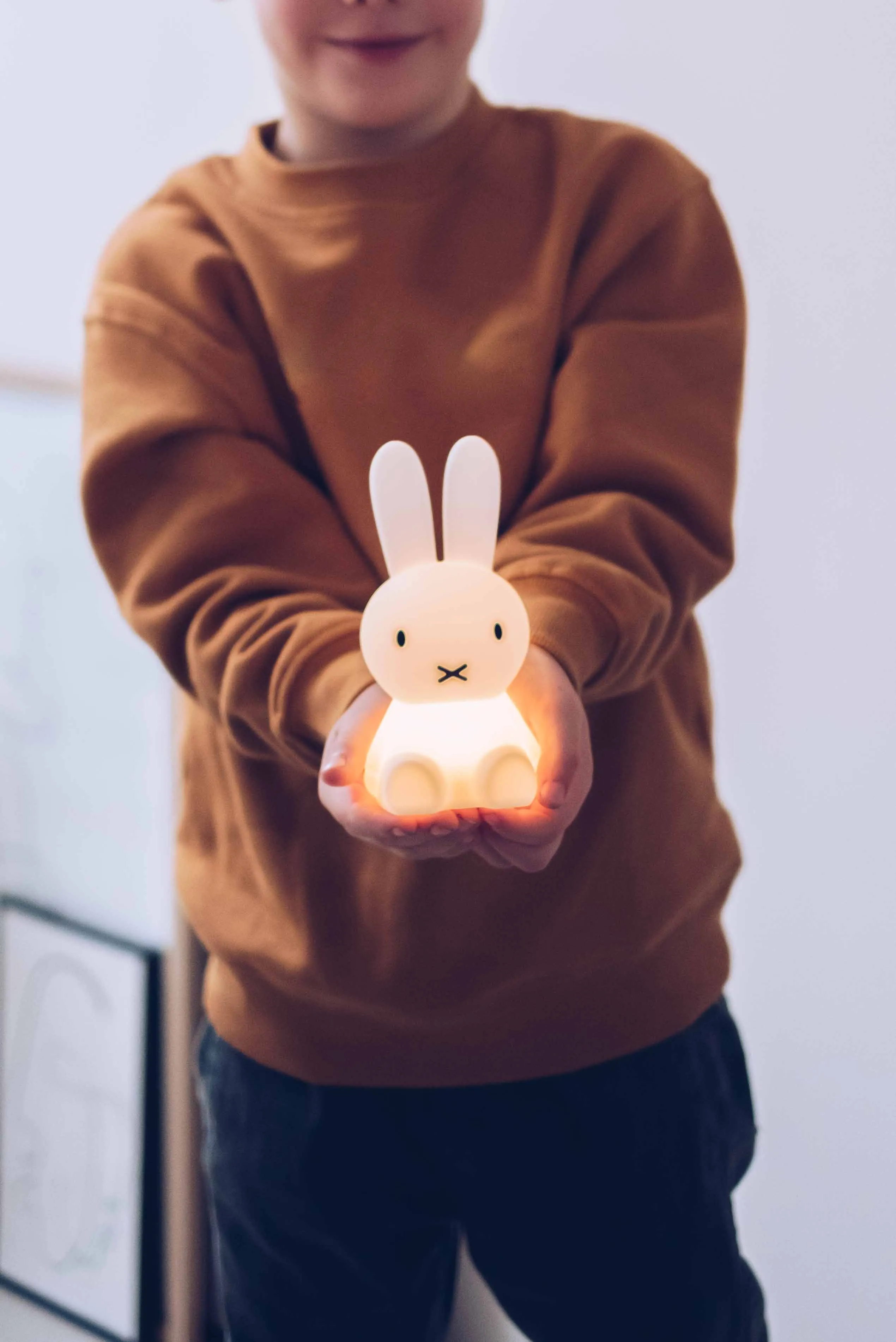 Nightlight Miffy Bundle of Light