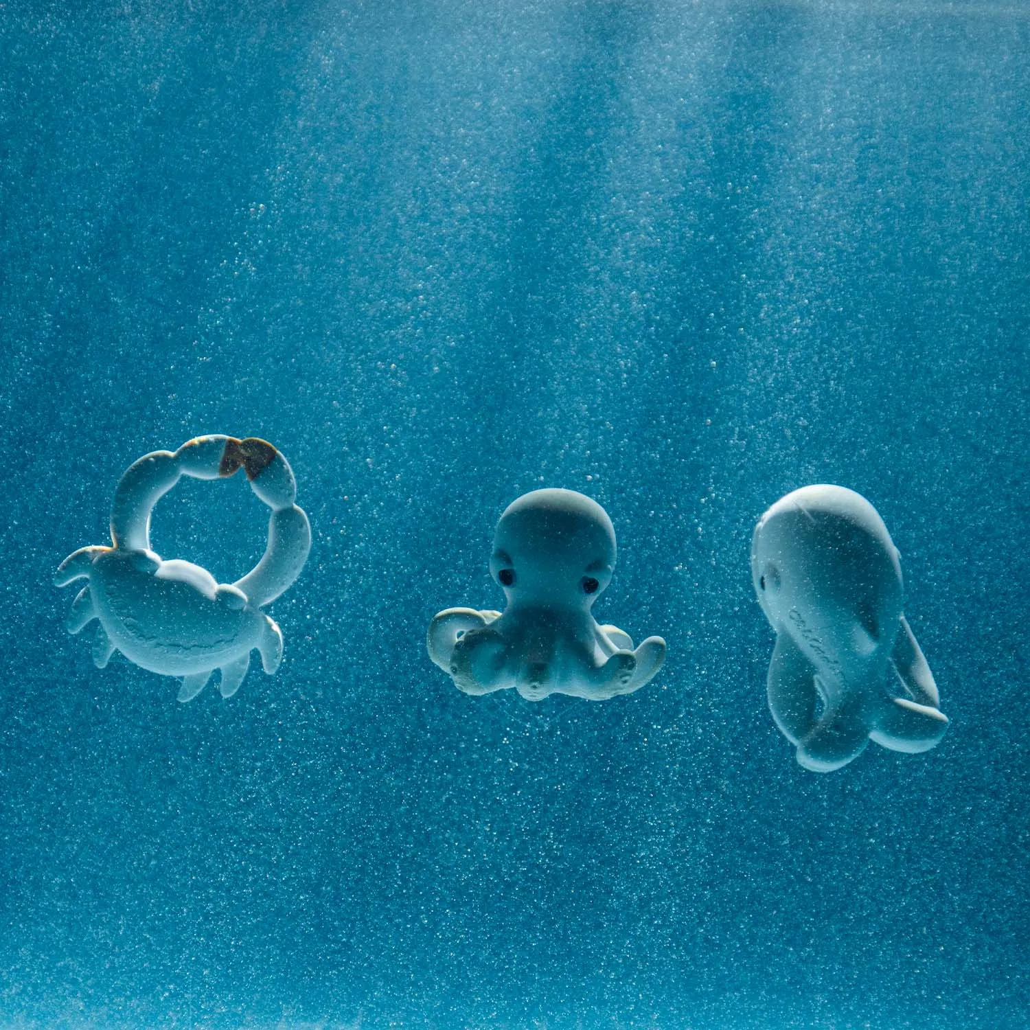 Oli&Carol x Big Stuffed | Walter the Whale