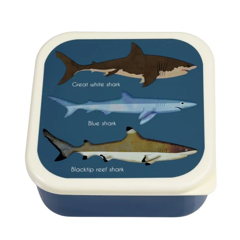 Sharks - Snack Box Set