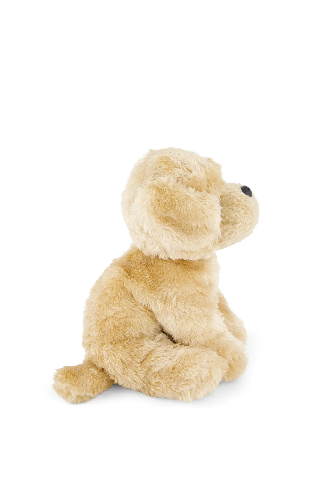 Snuggle Bunnies | Milo The Retriever