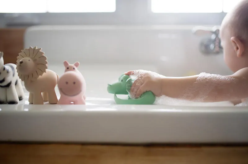 Tikiri Teether & Bath Toy | HIPPO Gift Boxed