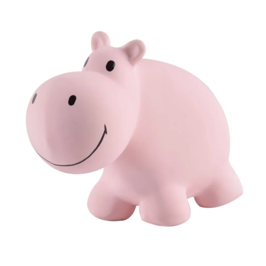 Tikiri Teether & Bath Toy | HIPPO Gift Boxed