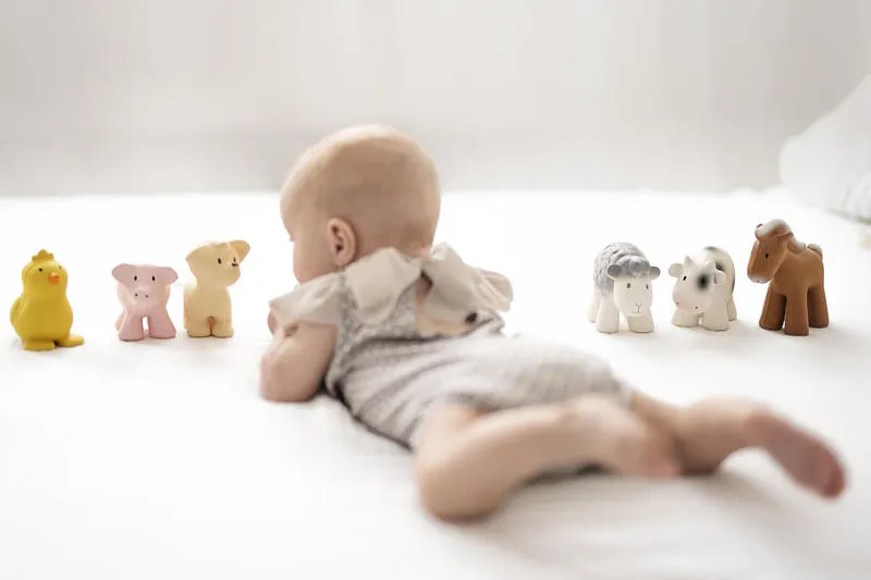 Tikiri Teether & Bath Toy | PIG Gift Boxed
