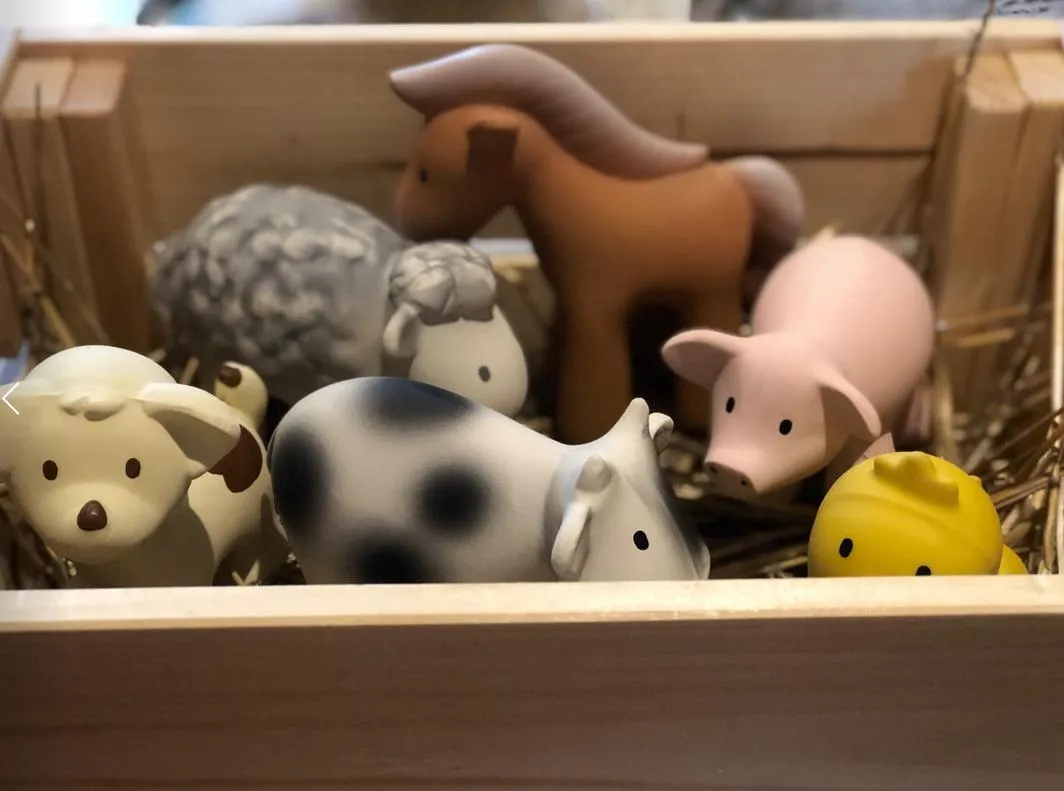 Tikiri Teether & Bath Toy | PIG Gift Boxed