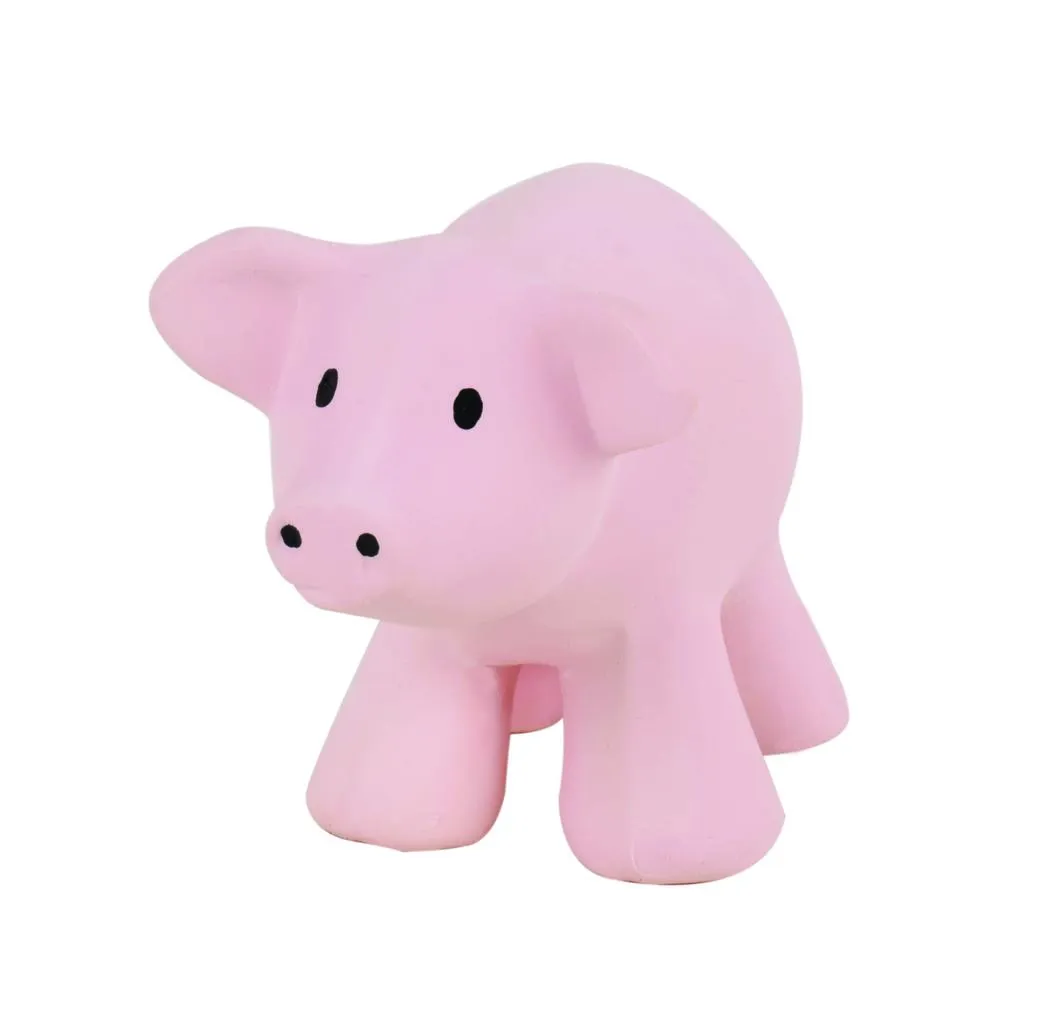 Tikiri Teether & Bath Toy | PIG Gift Boxed