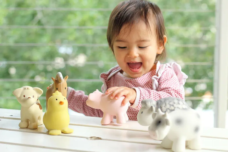 Tikiri Teether & Bath Toy | PIG Gift Boxed
