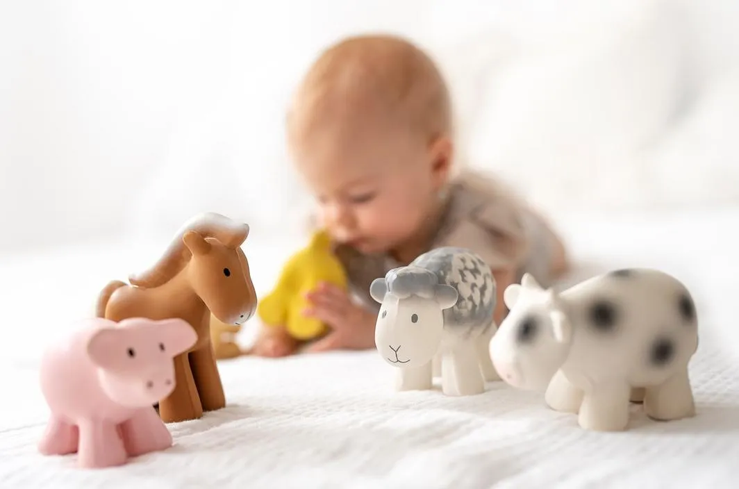 Tikiri Teether & Bath Toy | SHEEP Gift Boxed