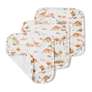 Wash Cloths 3 Pack Organic | Dino
